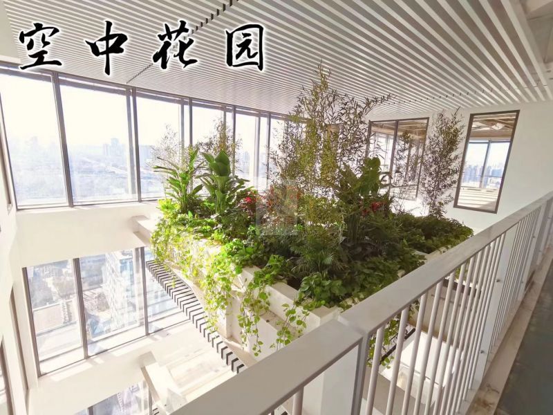 东方金融中心
