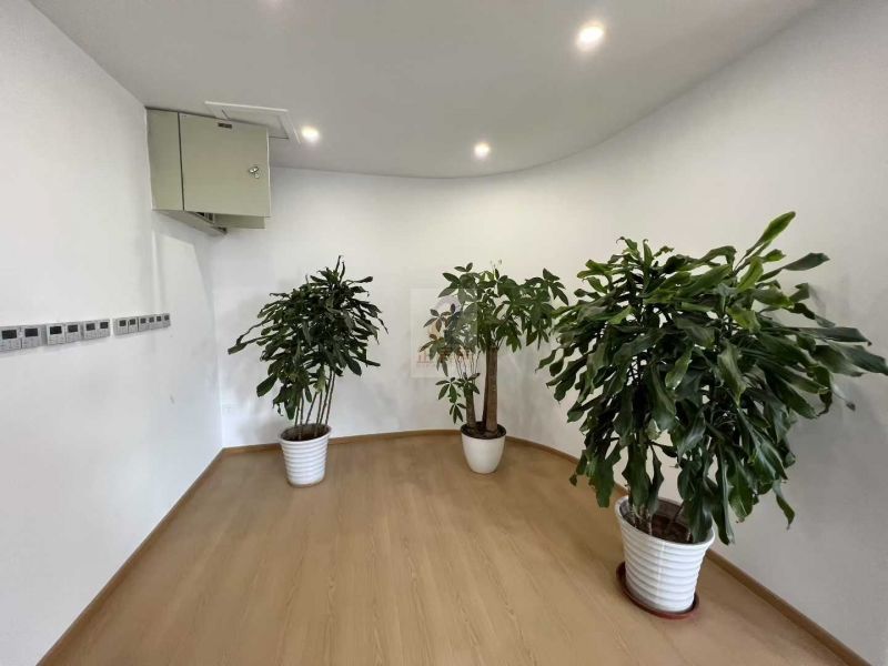 DREAM2049国际文创产业园