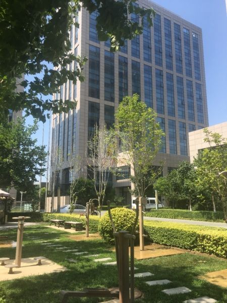 贞观国际