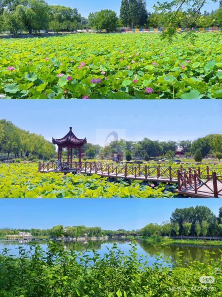 海淀美术馆